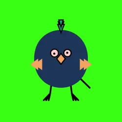 burd #5017