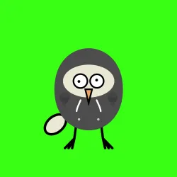 burd #6344