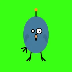 burd #48