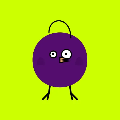 burd #2965