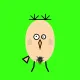burd #6405