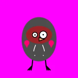 burd #4153