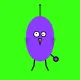 burd #3600