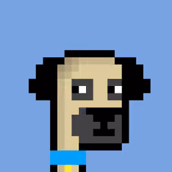 CryptoPug #253