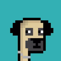 CryptoPug #9
