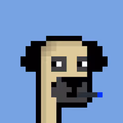CryptoPug #605