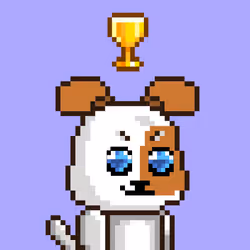 5333
