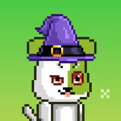 2716