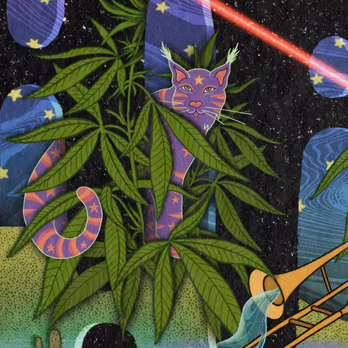Planetary Zoo By Super Secret Band