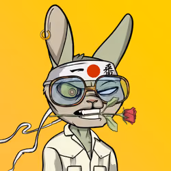 Mad Rabbit #2940