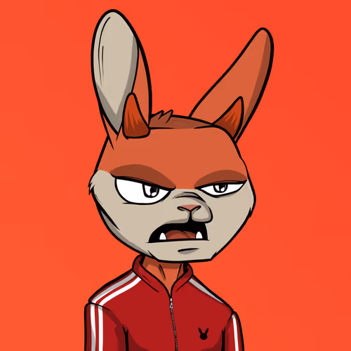 Madrabbitsriotclub