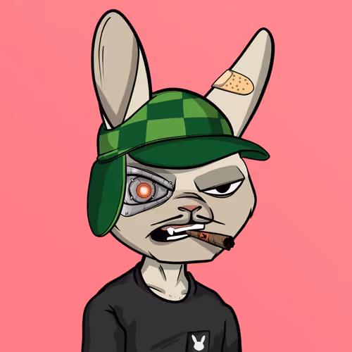 Mad Rabbit #6704