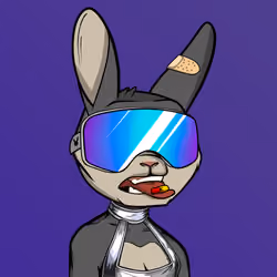 Mad Rabbit #4722
