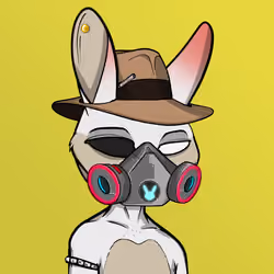 Mad Rabbit #2867