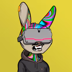 Mad Rabbit #1175