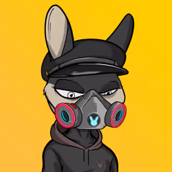 Mad Rabbit #1525
