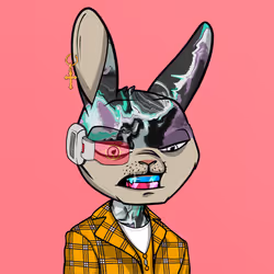 Mad Rabbit #3306