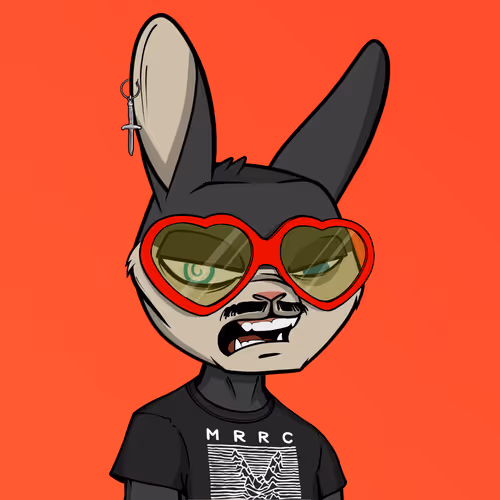 Madrabbitsriotclub