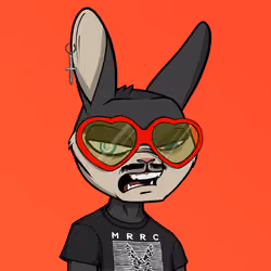 Mad Rabbit #3432