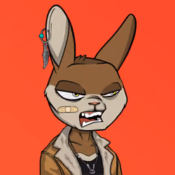 Mad Rabbit #4961
