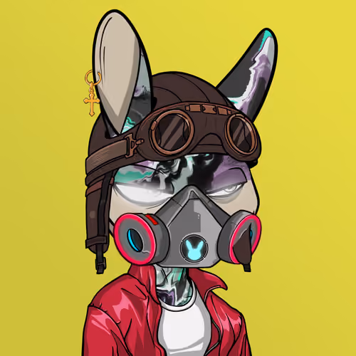Mad Rabbit #2687