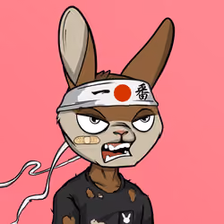Mad Rabbit #5745