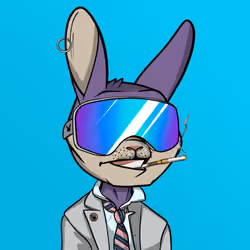 Mad Rabbit #1420