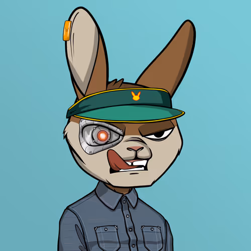 Madrabbitsriotclub