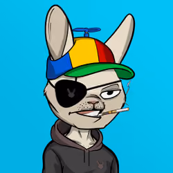 Mad Rabbit #6128