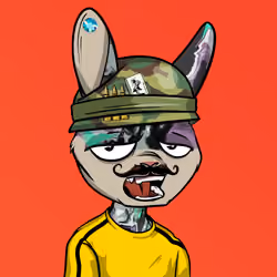 Mad Rabbit #1377