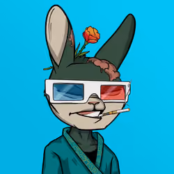 Mad Rabbit #1250