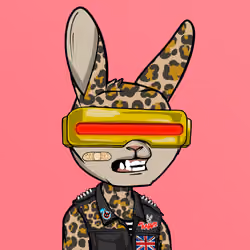Mad Rabbit #1598