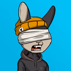 Mad Rabbit #6862