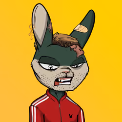 Mad Rabbit #2705