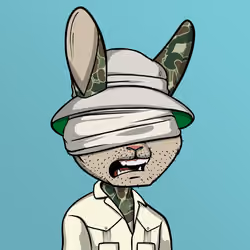 Mad Rabbit #4938
