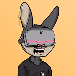 Mad Rabbit #3732