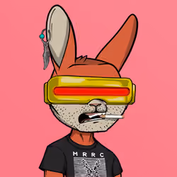Mad Rabbit #4770