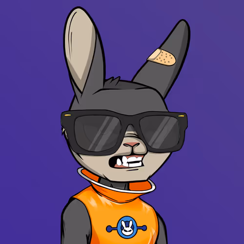 Madrabbitsriotclub