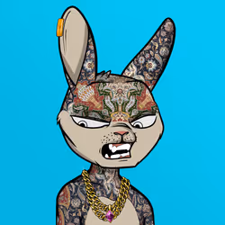 Mad Rabbit #6664