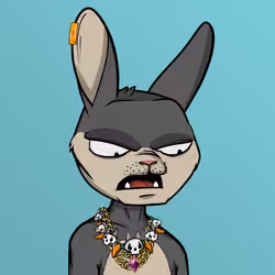 Mad Rabbit #1113