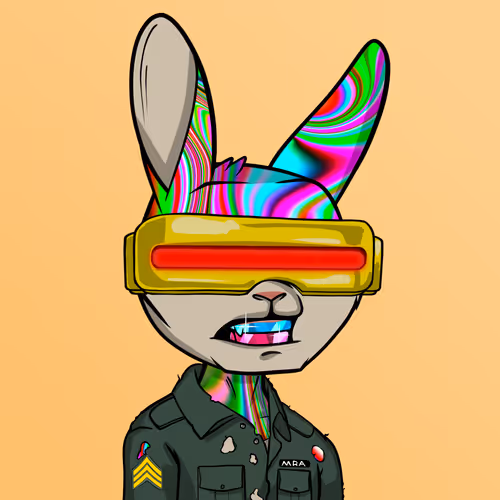 Madrabbitsriotclub