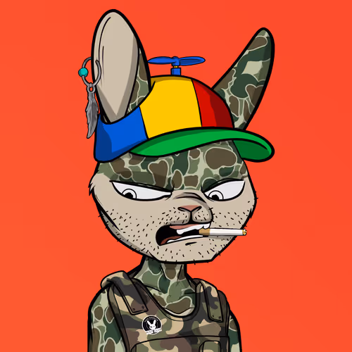 Madrabbitsriotclub