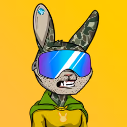 Mad Rabbit #4559