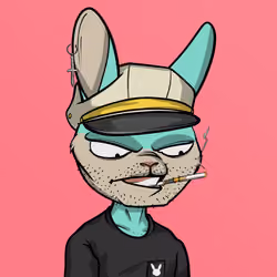Mad Rabbit #5812