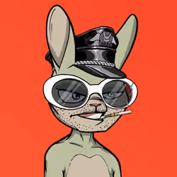 Mad Rabbit #3209