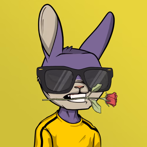 Mad Rabbit #5787