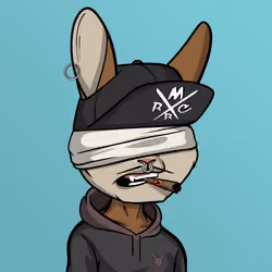 Mad Rabbit #2797