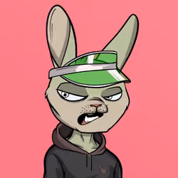 Mad Rabbit #1608