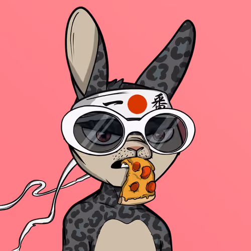 Mad Rabbit #4762