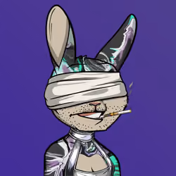 Mad Rabbit #5423